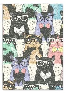 Tablou pe pe sticlă pisici ochelari
