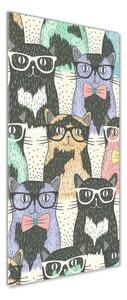 Tablou pe pe sticlă pisici ochelari