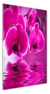 Tablou pe sticlă acrilică orhidee roz