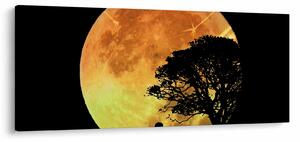 Tablou cu umbre în lumina lunii (120x50 cm)