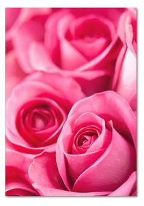 Tablou sticlă trandafiri roz