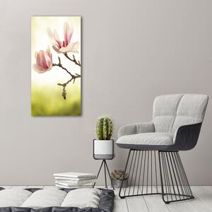 Imprimare tablou canvas flori magnolia