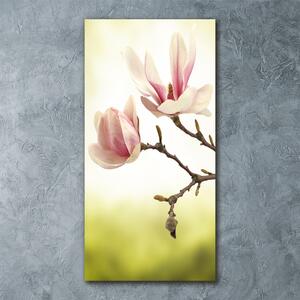 Pictura pe sticlă acrilică flori magnolia