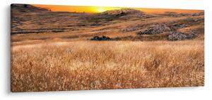 Tablou cu câmp (120x50 cm)