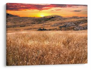 Tablou cu câmp (70x50 cm)
