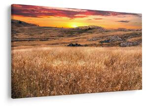 Tablou cu câmp (90x60 cm)