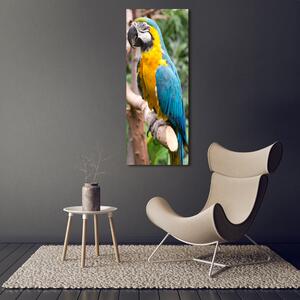 Tablou Printat Pe Sticlă Ara papagal