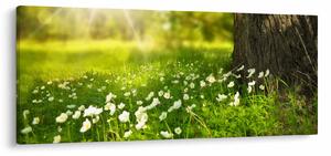 Tablou cu poiana și flori (120x50 cm)