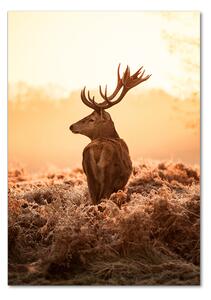Tablou Printat Pe Sticlă Sunrise Deer
