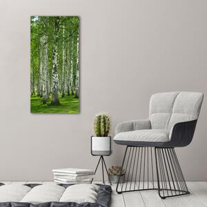 Imprimare tablou canvas pădurea de mesteacăn