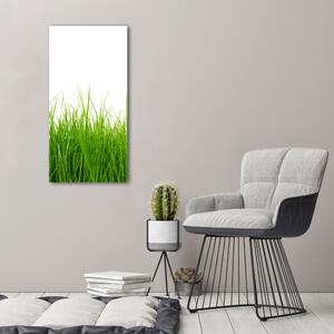 Print pe canvas iarbă verde