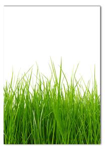 Imagine de sticlă iarbă verde