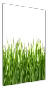 Tablou sticlă acrilică iarbă verde