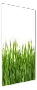 Tablou sticlă iarbă verde