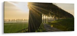 Tablou cu alee (120x50 cm)