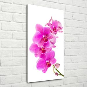 Imagine de sticlă orhidee roz