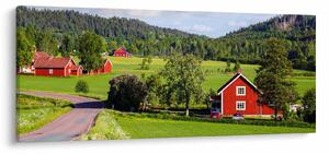 Tabloul cu țară (120x50 cm)