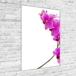 Fotografie imprimată pe sticlă orhidee roz