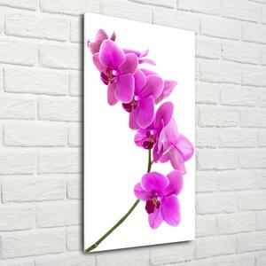 Tablou acrilic orhidee roz