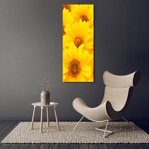 Tablou pe sticlă acrilică Floarea soarelui