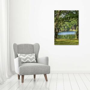 Imprimare tablou canvas Lacul în parc