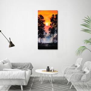 Imprimare tablou canvas pădure Apus de soare
