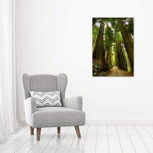 Imprimare tablou canvas Calea în pădure