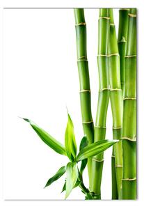 Fotografie imprimată pe sticlă Bambus