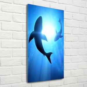 Tablou sticlă siluete de rechini