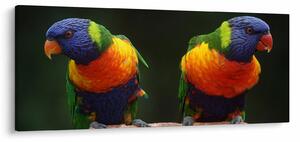 Tablou cu papagali (120x50 cm)
