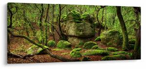 Tablou cu pădurea fermecată (120x50 cm)