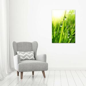 Tablou pe pânză canvas lame de iarbă