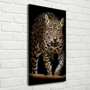 Fotografie imprimată pe sticlă Jaguar