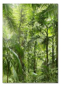 Tablou sticlă pădurea tropicală
