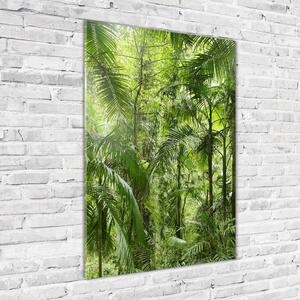 Tablou sticlă pădurea tropicală
