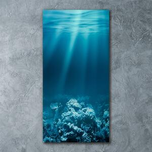 Tablou pe sticlă acrilică Lumea subacvatica