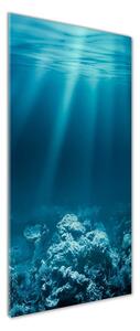 Fotografie imprimată pe sticlă Lumea subacvatica