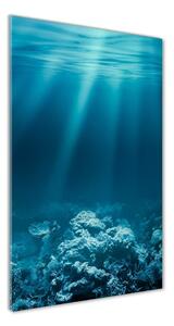 Tablou pe sticlă acrilică Lumea subacvatica