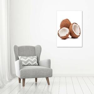 Print pe canvas nucă de cocos