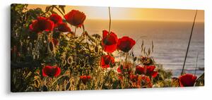 Tablou cu apus de soare cu flori de maci (120x50 cm)