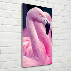 Imagine de sticlă Flamingos