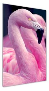 Tablou pe acril Flamingos