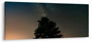Tablou cu cerul nocturn și copaci (120x50 cm)