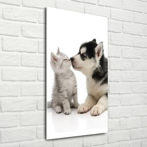 Tablou din Sticlă Câine și pisică