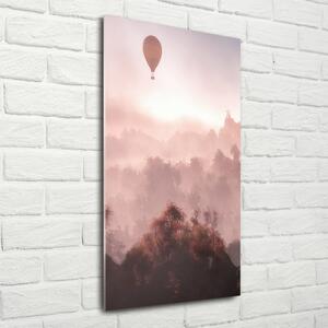 Fotografie imprimată pe sticlă Flying pădure balon