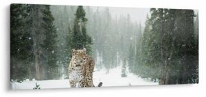 Tablou cu leopard în zăpadă (120x50 cm)