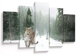 Tablou cu leopard în zăpadă (150x105 cm)