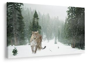 Tablou cu leopard în zăpadă (90x60 cm)