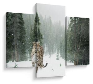 Tablou cu leopard în zăpadă (90x60 cm)