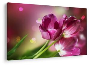 Tablou cu lalele roz (90x60 cm)